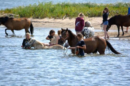 Pony-ranch-h�tte