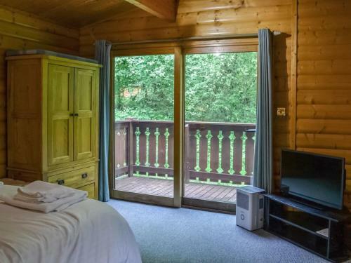Red Kite Lodge - Uk37417