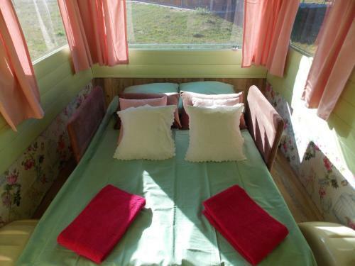 Camping Du Petit Gu� Du Roi