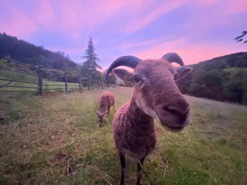 Black Mountains Stylish Hideaway, Nr Crickhowell