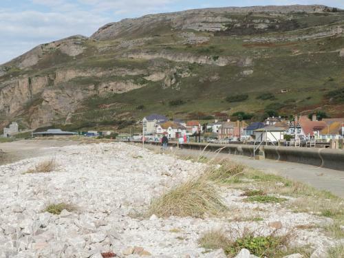 Traeth Bach Cottage