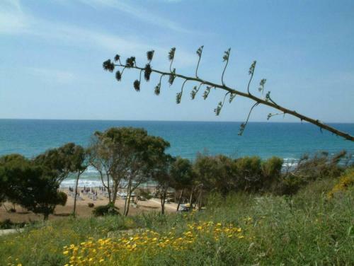 Apartamento La Barchetta Sul Mare