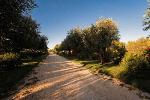 Bed & Breakfast Mastrop� Exclusive Resort