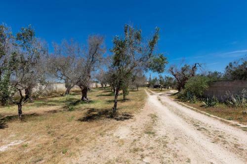 Bed & Breakfast Tenuta Elisabetta By Barbarhouse