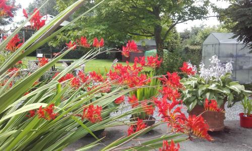 Twin Oaks Bed & Breakfast
