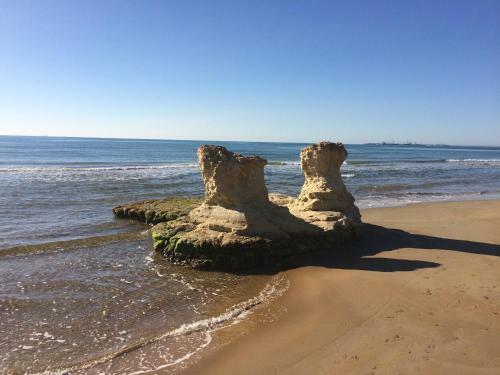Apartamento Le Mimose - Holiday Home