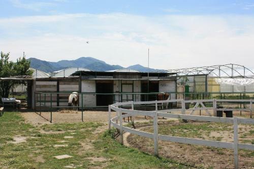 Bed & Breakfast Piccolo Ranch