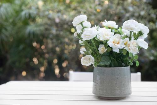 Apartamento Monolocale Il Giardino Di Antonio