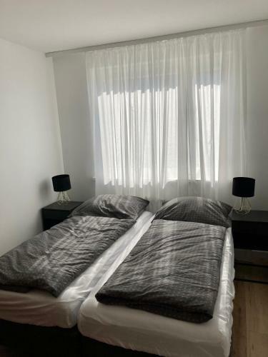 Apartament Ko?cowa 4d