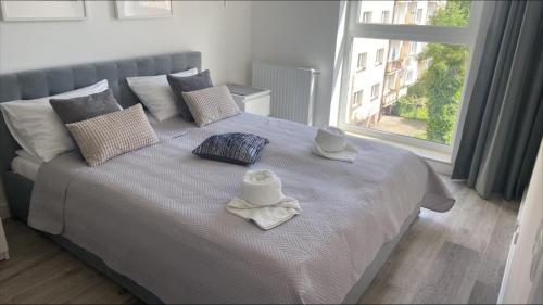 Apartamento Krasi?skiego 15a- 10