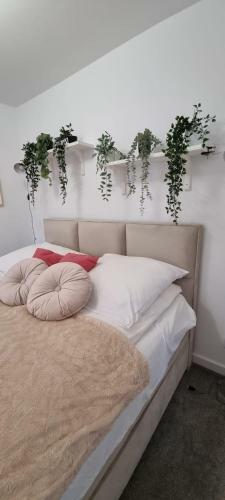 Apartament W Centrum Premium
