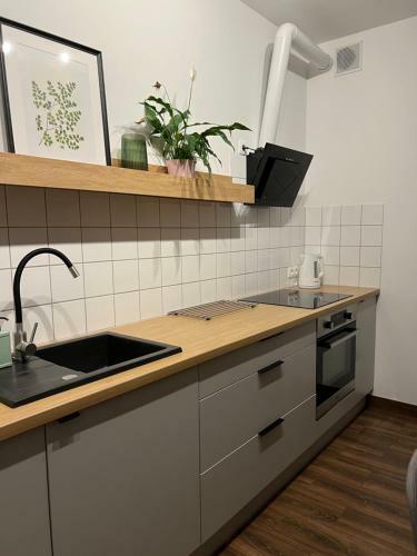 Przytulny Apartament Mickiewicza 14/2