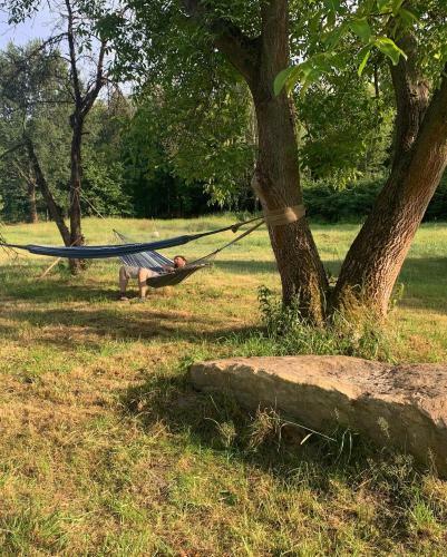 Hostal Dwie Brzozy Wegetaria?skie Siedlisko