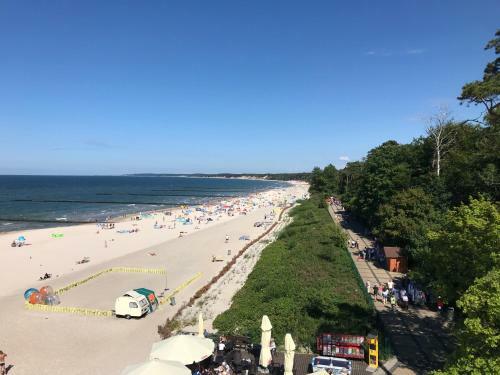 Apartament Regina