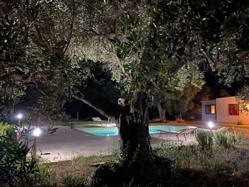 Bed & Breakfast Le Radici