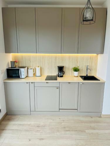 Apartament Maks