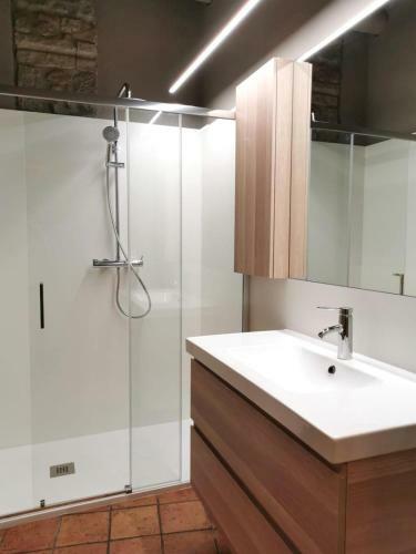 Habitaci� Polivalent Al Centre De Manresa