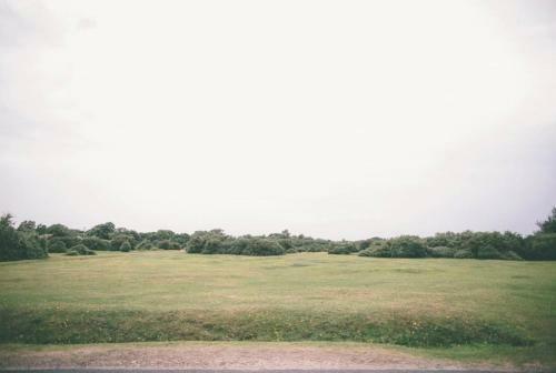 Beautiful 2 Bedroom Cob Cottage In The New Forest