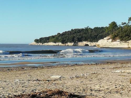 Apartamento Location Saisonniere