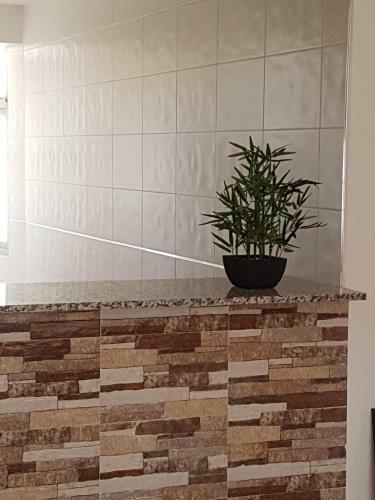 Apartamento Mediterraneo Playa