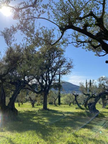 Villa Les Hauts De Diane, Cuers Var