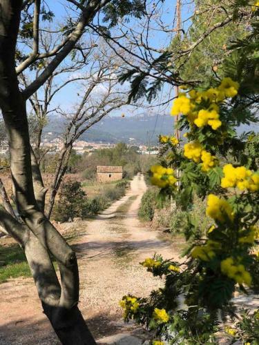 Villa Les Hauts De Diane, Cuers Var