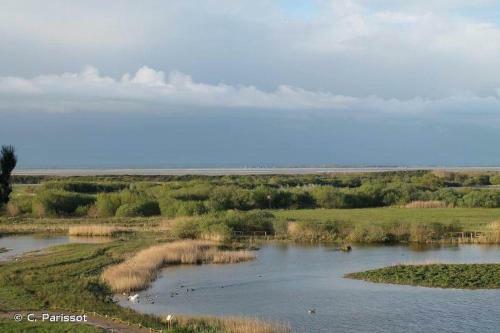 Charmante Villa Entre Dunes, For�t Et Mer