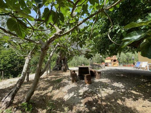 Apartamento Villa Del Capitano