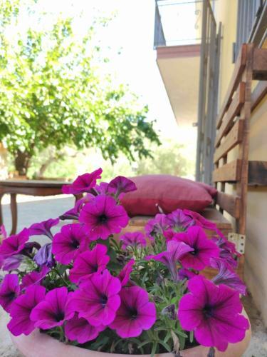 Apartamento Villa Del Capitano