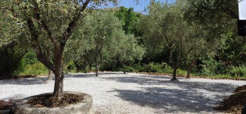 Apartamento Villa Del Capitano