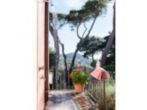 Apartamento Casina Montenero