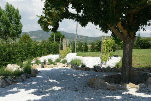 Hostal Residenza Corgnano