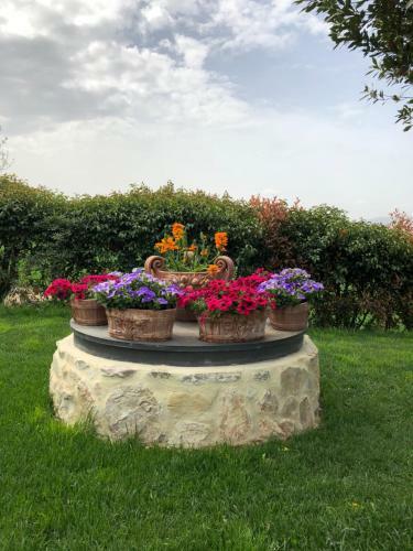 Hostal Residenza Corgnano