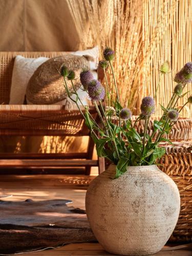 Zatoria Luxury Glamping Zator