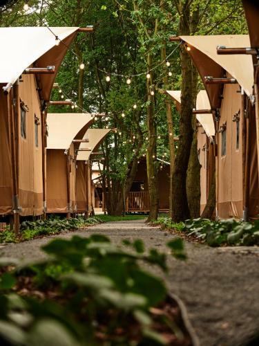 Zatoria Luxury Glamping Zator