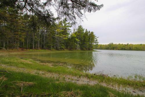 Midcoast Serenity & Tranquility