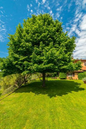 B&B Acque Lucenti