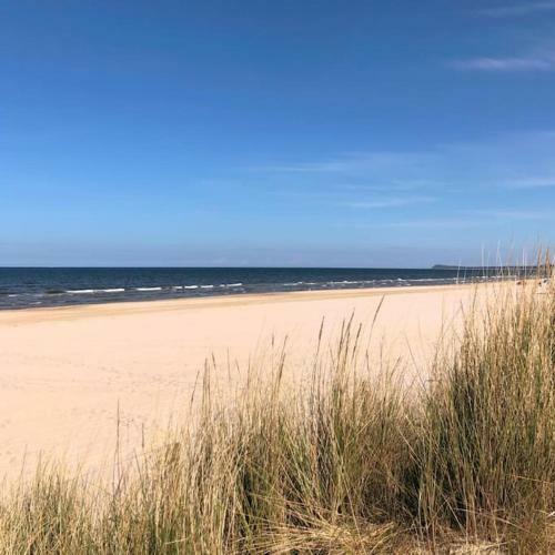 Bungalow Im Kiefernwald Direkt An Der Ostsee (A)