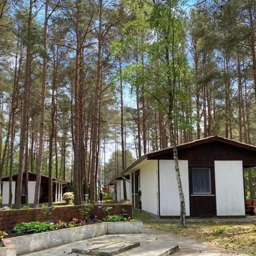 Bungalow Im Kiefernwald Direkt An Der Ostsee (A)