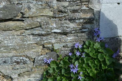 Luxurious Self Catering Holiday Cottage Cornwall