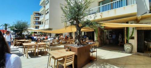 Apartamento Piso Platgetes