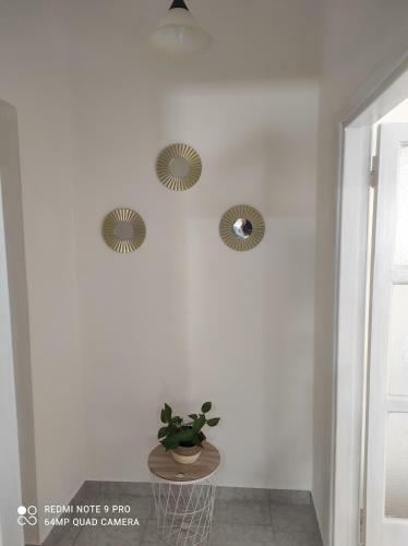 Apartamento Appartamento Giulio Cesare