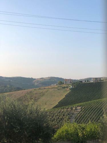 Agroturismo Palme&vigne