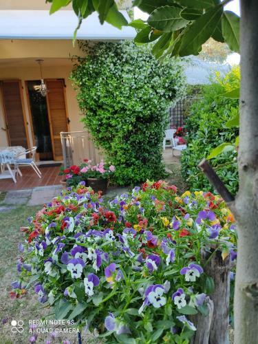 Il Villino Del Sorriso