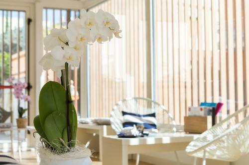 Mur� Hotel Numana