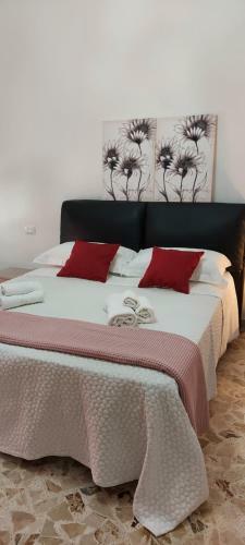Hostal Affitta Camere Drago Di Ferro