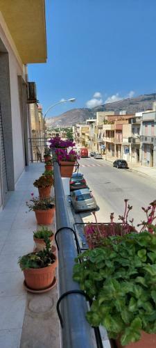 Hostal Affitta Camere Drago Di Ferro