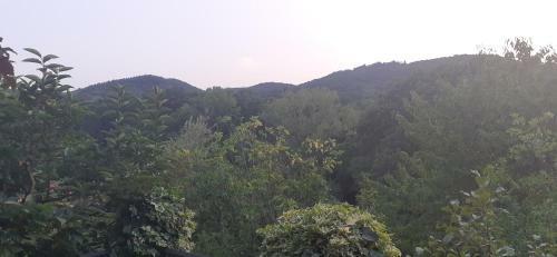 Villa Le Palmine
