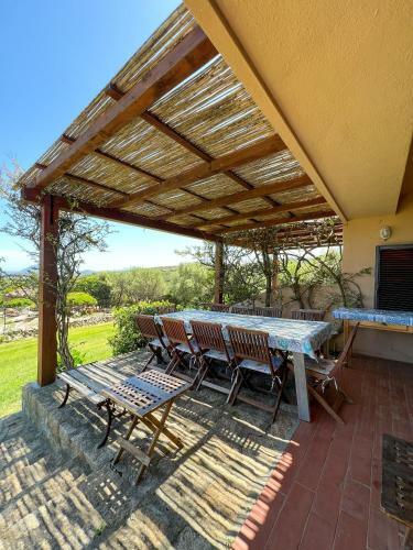 Casa Tat�n