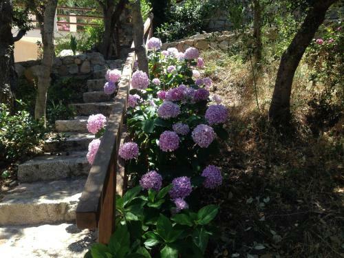 Apartamento Residence Arcipelago